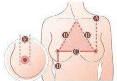 Screen-shot-2012-09-07-at-4.06.53-PM[1]